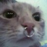 プレイステーション's profile picture