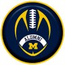 Profilbild von Football Alumni of Michigan (FAM)