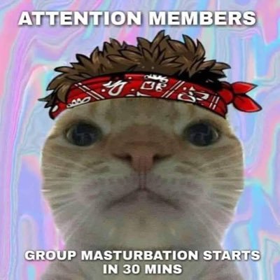 aynen kanka o şekil's profile picture