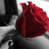 ليالى العمر profil fotoğrafı