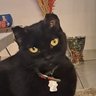 Haider โ๏ธ's profile picture