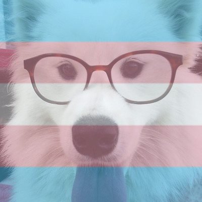 muskynerd1's profile picture