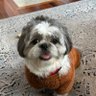 Фото профиля Ty