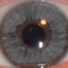 MrNess223 profil fotoğrafı