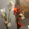 Фото профиля POETRY
