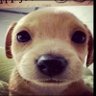 tvzmmn's profile picture