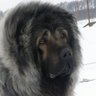 Profilbild von Mike