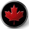 Daniel Marchant's profile picture