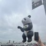 八大道小飞's profile picture