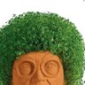 Nathan's profile picture