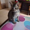 wiwik69pdg profil fotoğrafı