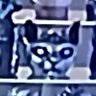 Profilbild von Kuirt T Bentos