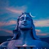 Profilbild von Nightstar21 #savesoil
