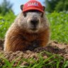 Chuck Rodent profil fotoğrafı