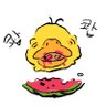 연초 的头像