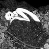 y's profile picture
