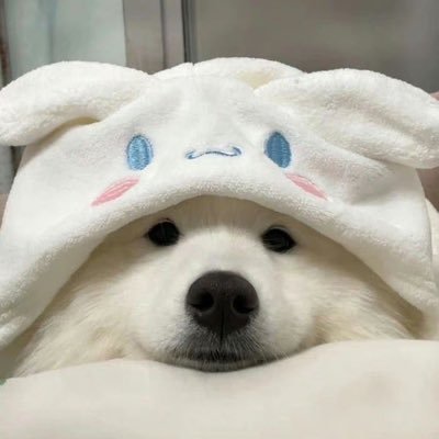 Daimons54's profile picture