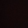 Midnight's profile picture