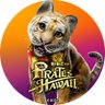 青猫 profil fotoğrafı