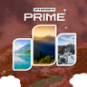 Prime's profile picture