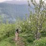 Chhavi Kashyap profil fotoğrafı
