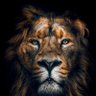 FeArLeSs 的头像