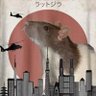 🐀 的头像