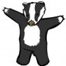 Profilbild von CuriousBadger2