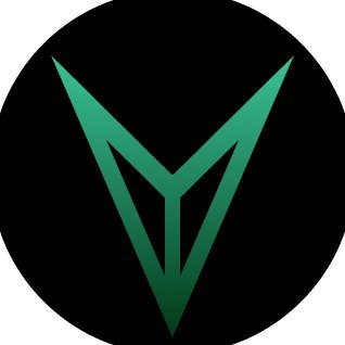 VerAi's profile picture