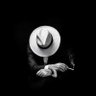 Dogwild's profile picture