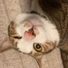 TM's profile picture