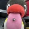 Profilbild von 丸辣