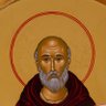 Profilbild von Columba