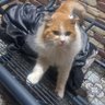 benim adım hiç kimse profil fotoğrafı