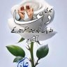 Profilbild von Sohail Shafique
