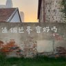热心观众李先生 的头像
