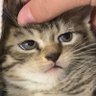 Profilbild von thevenus.exe