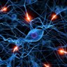 Synapse profil fotoğrafı