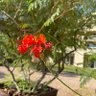 Фото профиля N