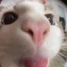 daddyshome's profile picture
