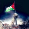ibrahim DÖLEK ابراهیم🇹🇷🇵🇸لا غالبة إلا الله👆 profil fotoğrafı