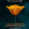 الحمودى 的头像