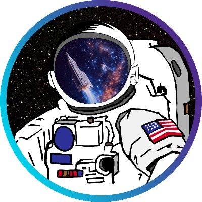 Big Rock Insights's profile picture