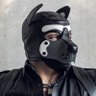 Gooner 🐶 的头像