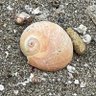 Фото профиля がんばらない人