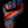 ☆ Tonton Roro 🇨🇩 ☆ 的头像