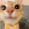 💛💫 profil fotoğrafı