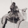 بدون الاسم profil fotoğrafı