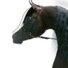 Word's profile picture