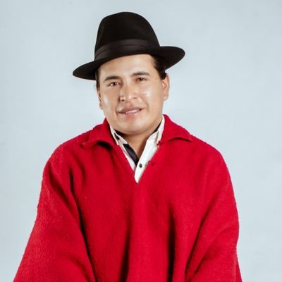 Telmo Punina's profile picture
